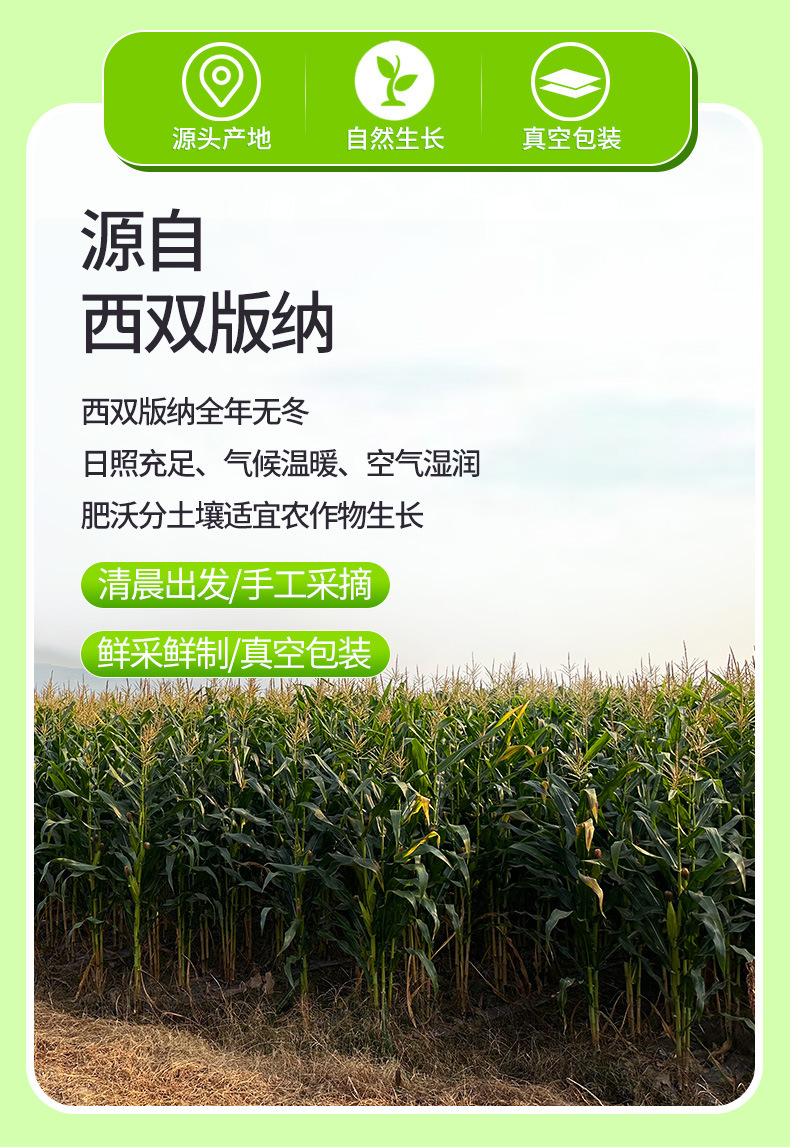 ceb70b07cb414130f85bd827dc28310a_O1CN01Q8Anxe1UDGLU9CelV_!!2217144322483-0-cib.jpg